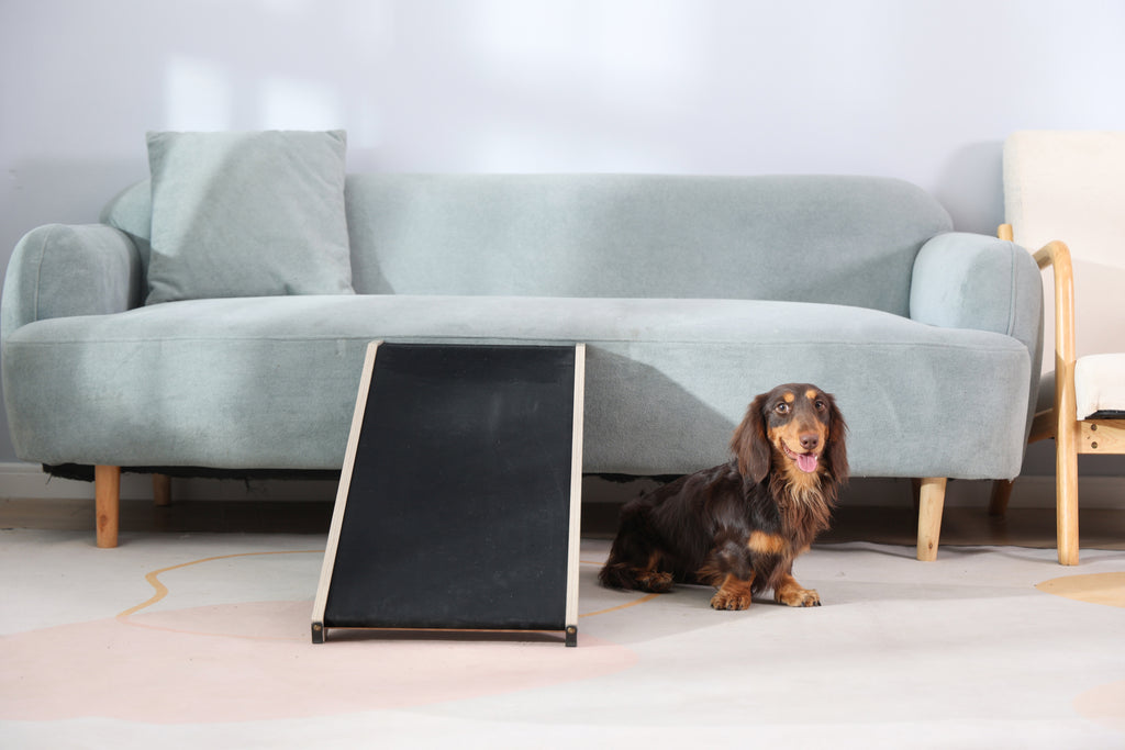 Adjustable Dog Ramp (Weathered Grey)