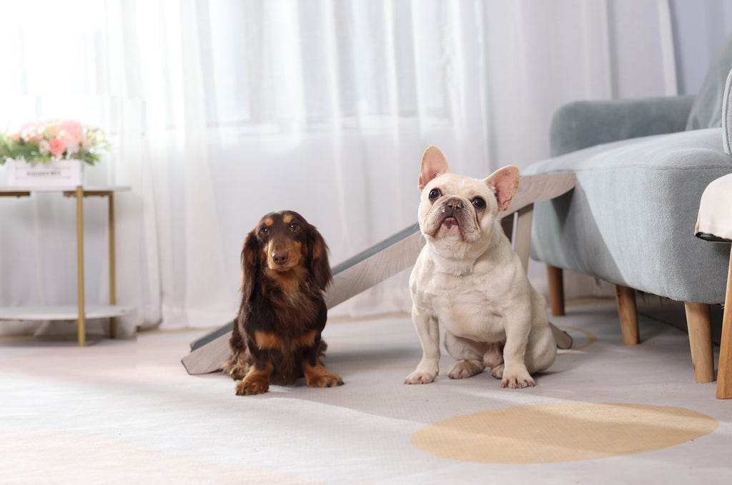 Adjustable Dog Ramp (Weathered Grey)