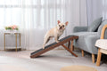 Adjustable Dog Ramp (Walnut)